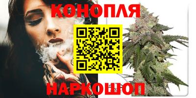не бодяженный Шебекино