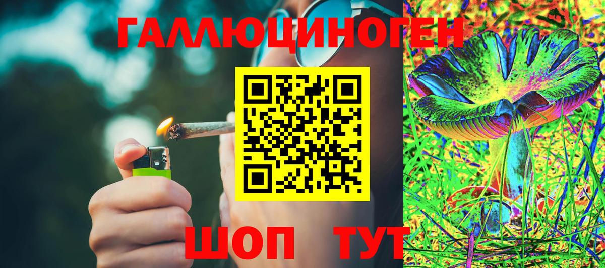 Галлюциногенные грибы мухоморы  где найти   Магадан  Вход с VPN  Псилоцибиновые грибы Cubensis 